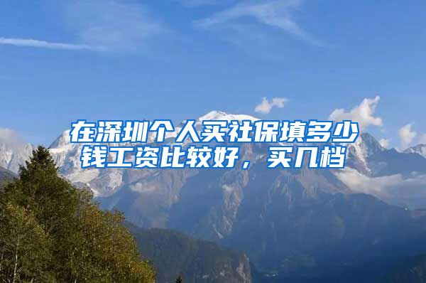在深圳个人买社保填多少钱工资比较好，买几档