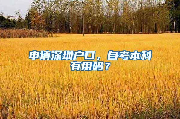 申请深圳户口，自考本科有用吗？