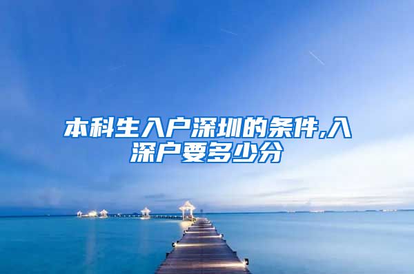 本科生入户深圳的条件,入深户要多少分