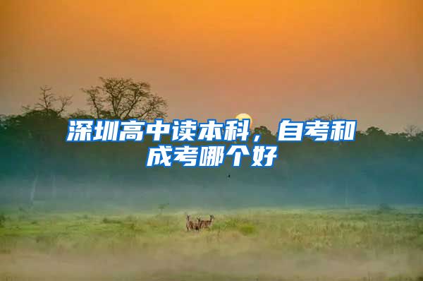 深圳高中读本科，自考和成考哪个好