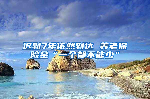 迟到7年依然到达 养老保险金“一个都不能少”