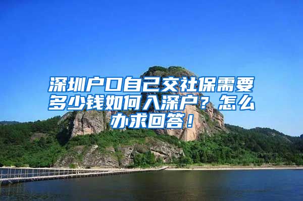深圳户口自己交社保需要多少钱如何入深户？怎么办求回答！