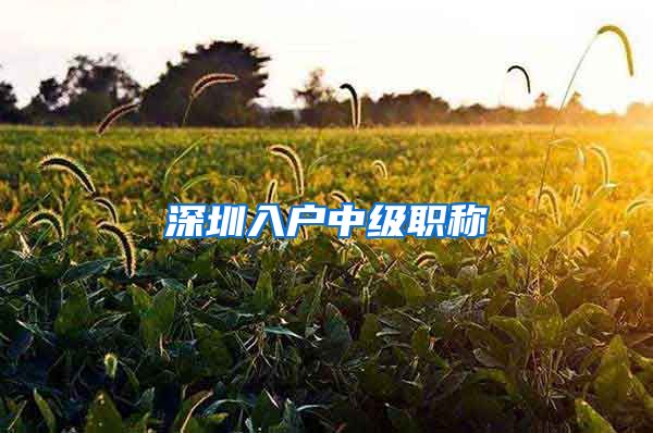 深圳入户中级职称