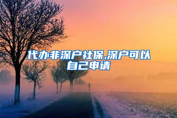 代办非深户社保,深户可以自己申请