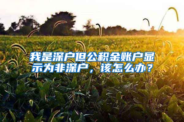 我是深户但公积金账户显示为非深户，该怎么办？