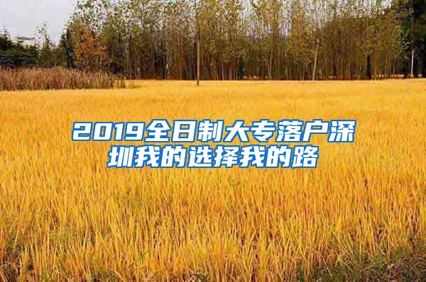 2019全日制大专落户深圳我的选择我的路