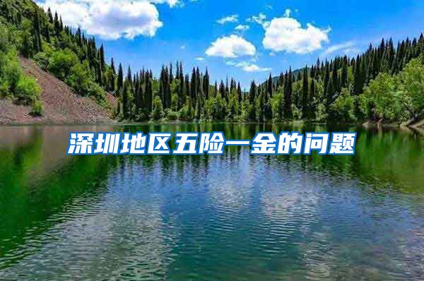 深圳地区五险一金的问题
