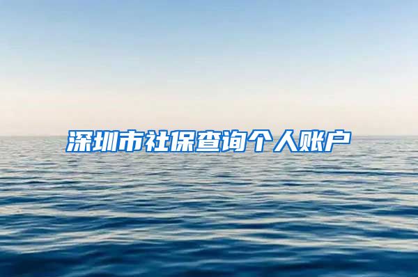 深圳市社保查询个人账户