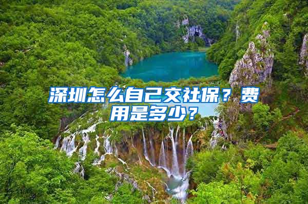 深圳怎么自己交社保？费用是多少？