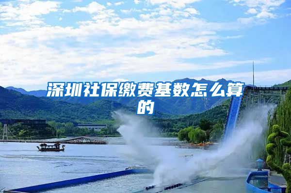 深圳社保缴费基数怎么算的