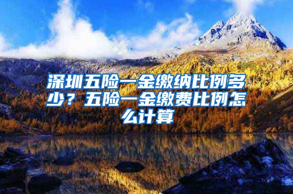 深圳五险一金缴纳比例多少？五险一金缴费比例怎么计算