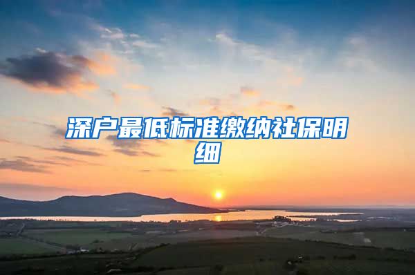 深户最低标准缴纳社保明细