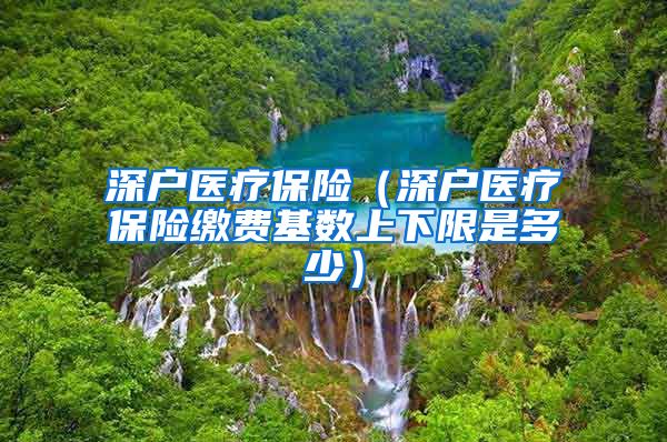 深户医疗保险（深户医疗保险缴费基数上下限是多少）