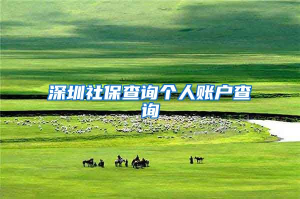 深圳社保查询个人账户查询