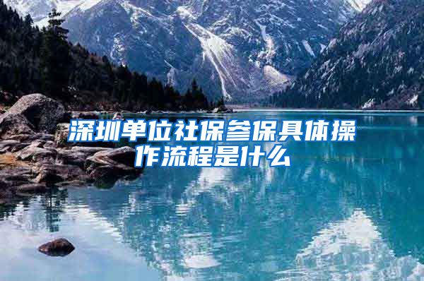深圳单位社保参保具体操作流程是什么