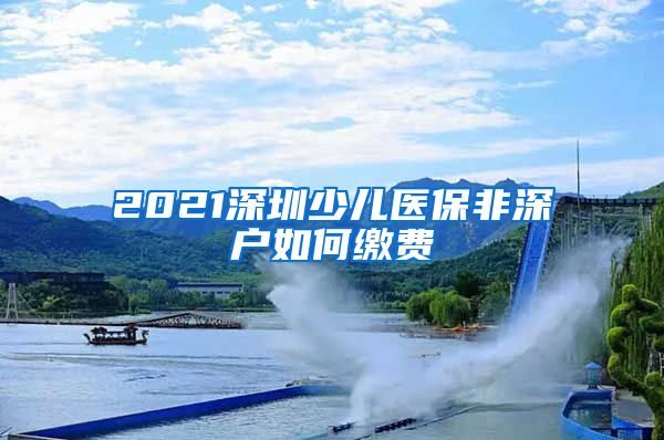 2021深圳少儿医保非深户如何缴费