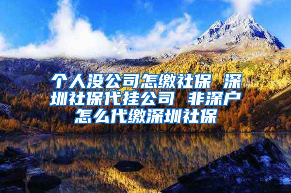 个人没公司怎缴社保 深圳社保代挂公司 非深户怎么代缴深圳社保