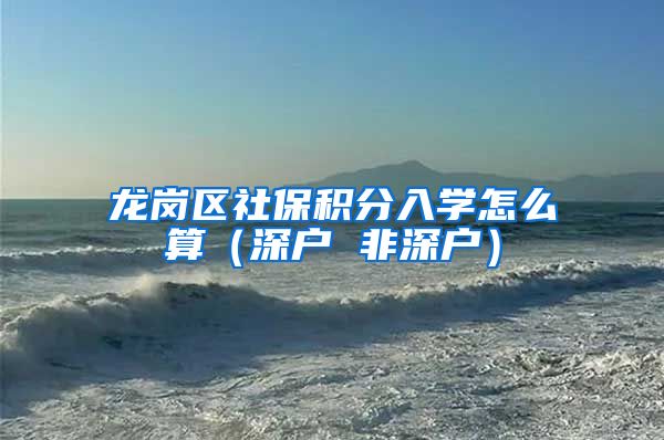 龙岗区社保积分入学怎么算（深户 非深户）