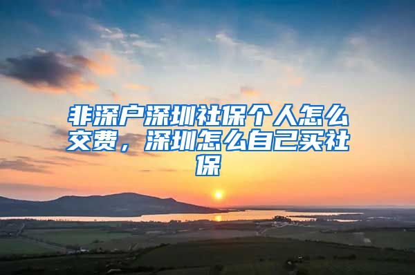 非深户深圳社保个人怎么交费，深圳怎么自己买社保