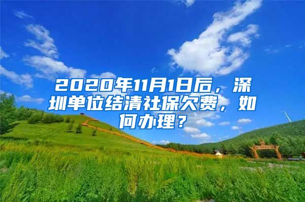 2020年11月1日后，深圳单位结清社保欠费，如何办理？