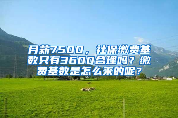月薪7500，社保缴费基数只有3600合理吗？缴费基数是怎么来的呢？
