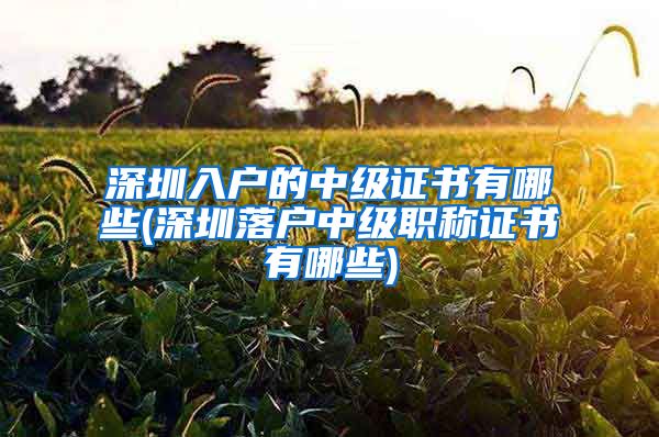 深圳入户的中级证书有哪些(深圳落户中级职称证书有哪些)