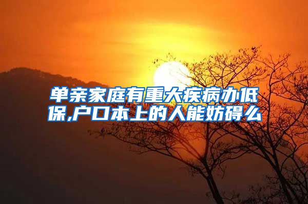 单亲家庭有重大疾病办低保,户口本上的人能妨碍么