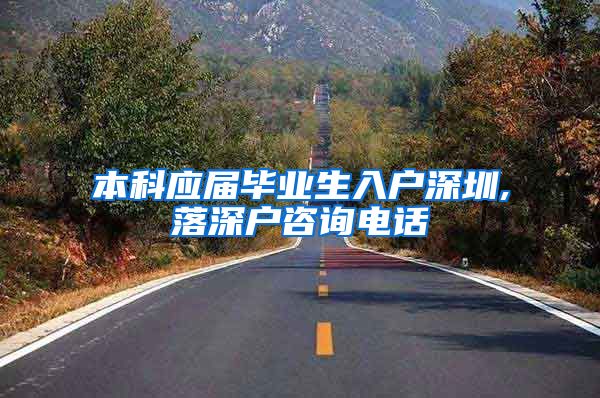 本科应届毕业生入户深圳,落深户咨询电话