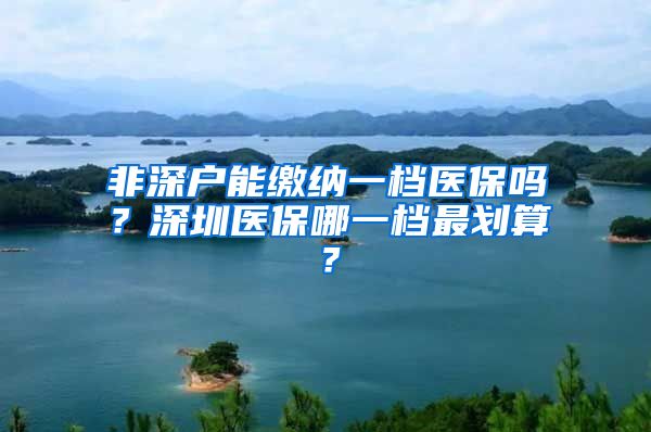 非深户能缴纳一档医保吗？深圳医保哪一档最划算？