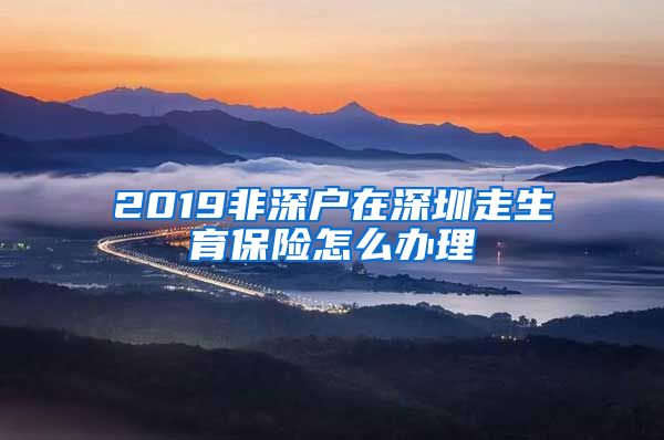 2019非深户在深圳走生育保险怎么办理