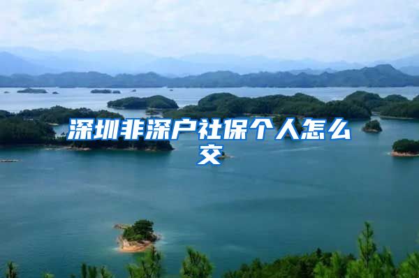 深圳非深户社保个人怎么交