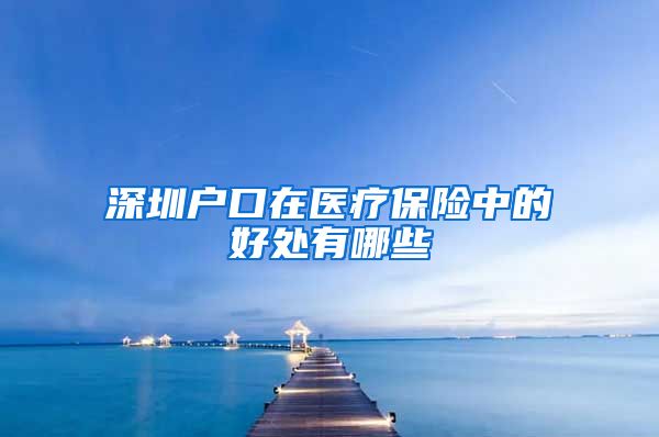 深圳户口在医疗保险中的好处有哪些