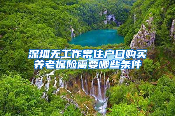 深圳无工作常住户口购买养老保险需要哪些条件