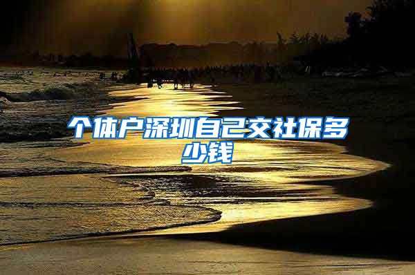 个体户深圳自己交社保多少钱