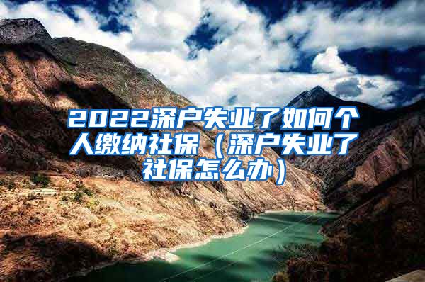 2022深户失业了如何个人缴纳社保（深户失业了社保怎么办）