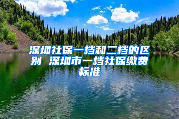 深圳社保一档和二档的区别 深圳市一档社保缴费标准