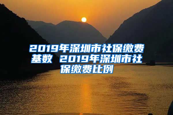 2019年深圳市社保缴费基数 2019年深圳市社保缴费比例