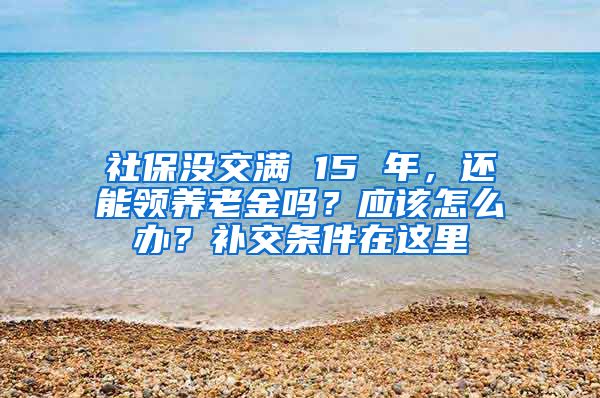 社保没交满 15 年，还能领养老金吗？应该怎么办？补交条件在这里