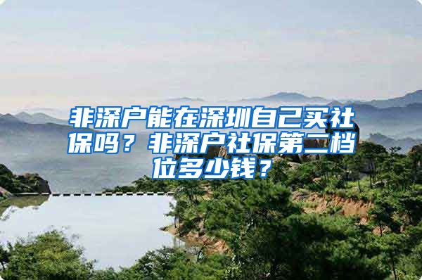 非深户能在深圳自己买社保吗？非深户社保第二档位多少钱？