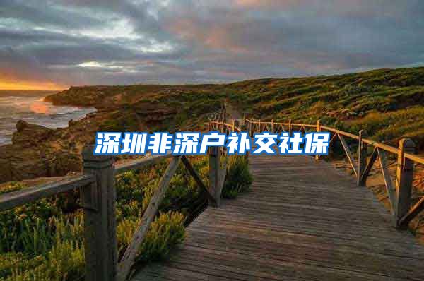 深圳非深户补交社保