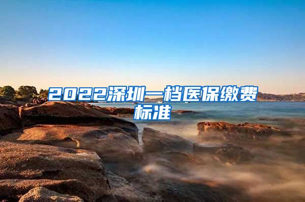 2022深圳一档医保缴费标准