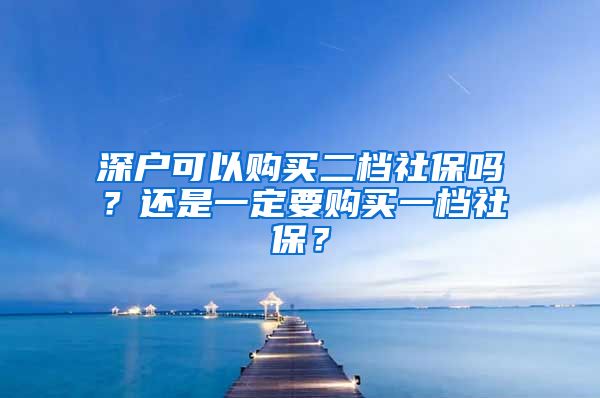 深户可以购买二档社保吗？还是一定要购买一档社保？