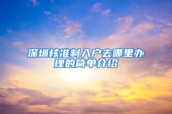 深圳核准制入户去哪里办理的简单介绍