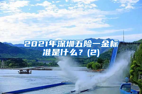 2021年深圳五险一金标准是什么？(2)