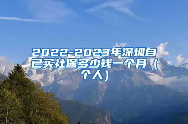2022-2023年深圳自已买社保多少钱一个月（个人）