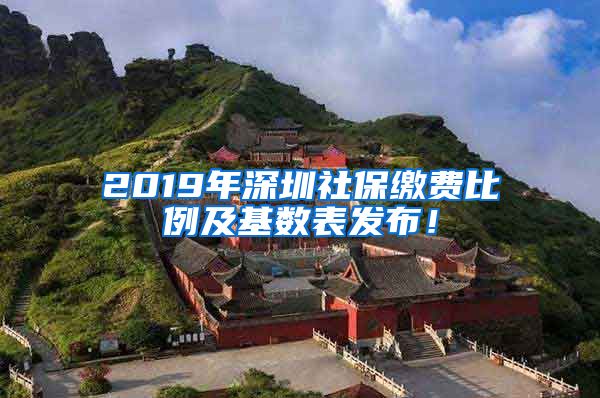2019年深圳社保缴费比例及基数表发布！
