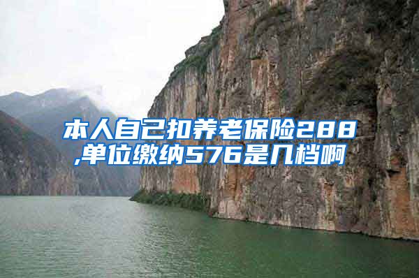 本人自己扣养老保险288,单位缴纳576是几档啊
