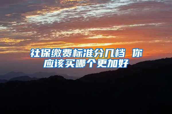 社保缴费标准分几档 你应该买哪个更加好