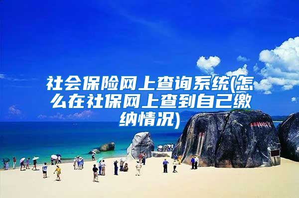 社会保险网上查询系统(怎么在社保网上查到自己缴纳情况)
