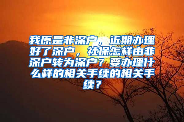 我原是非深户，近期办理好了深户，社保怎样由非深户转为深户？要办理什么样的相关手续的相关手续？